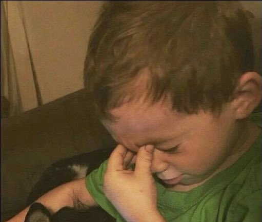 Maddy🦋 tweet media