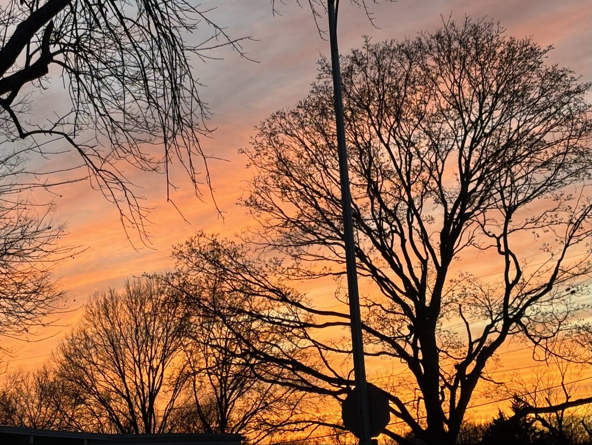 Jim Cleary tweet media