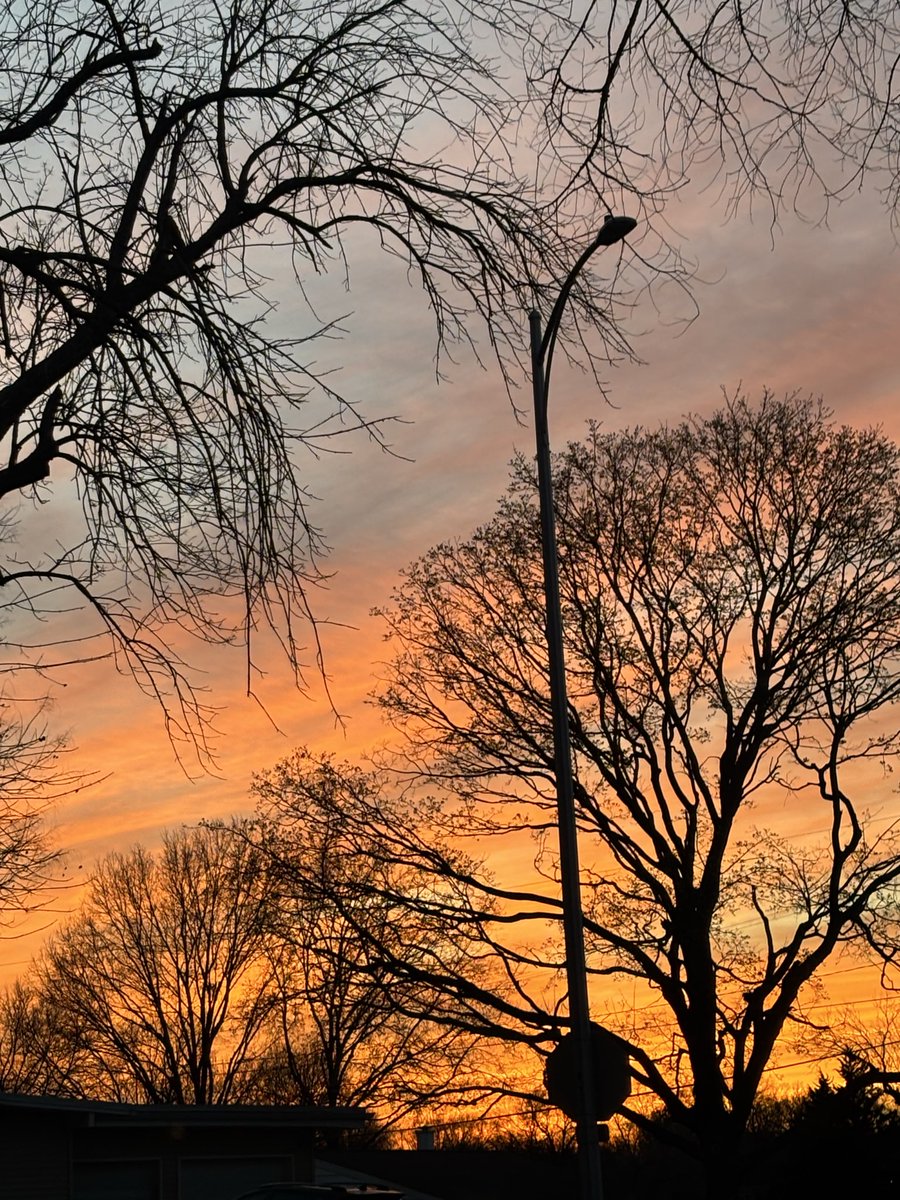 Jim Cleary tweet media