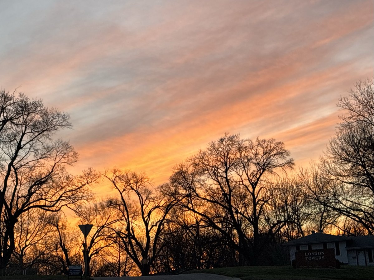 Jim Cleary tweet media