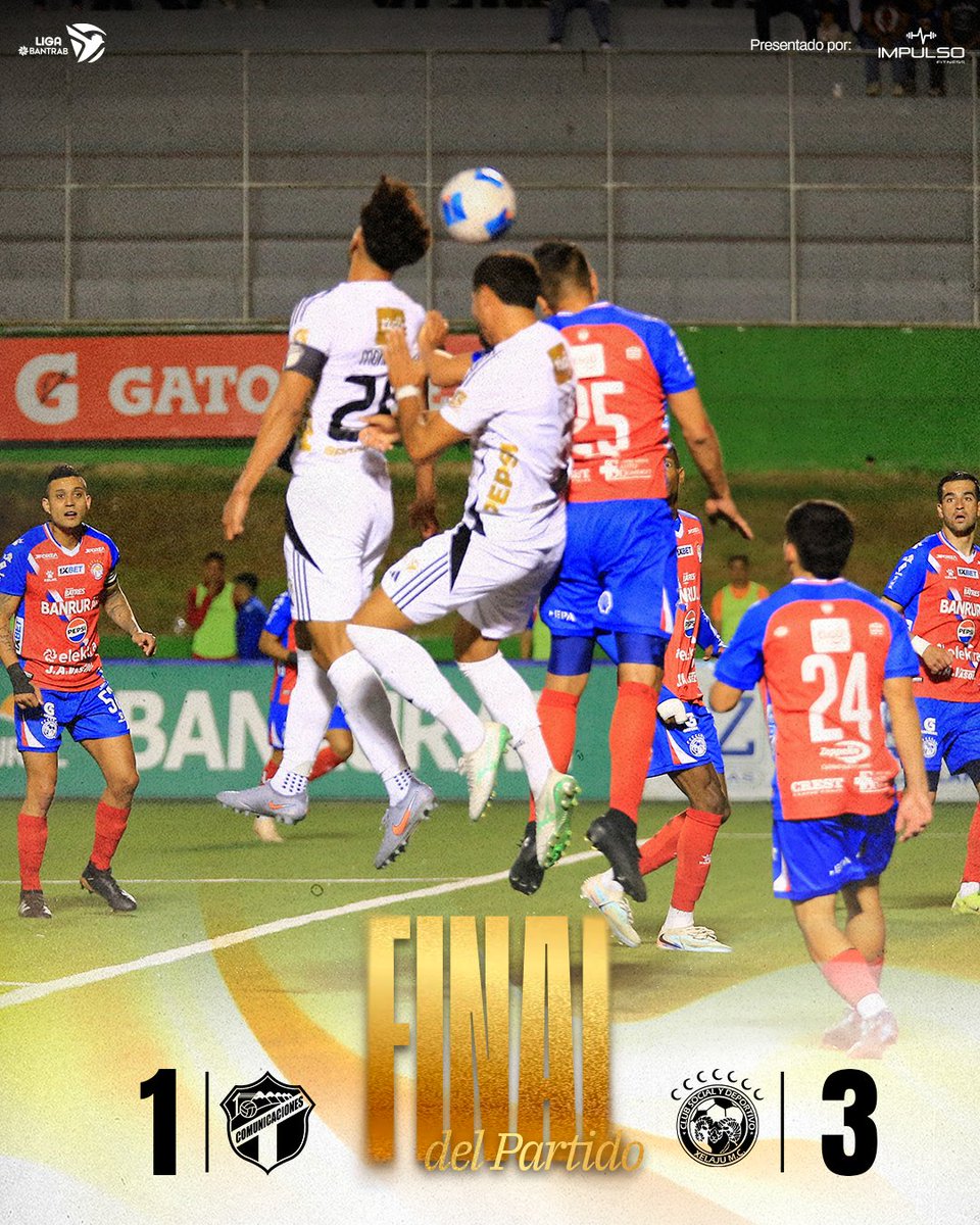 CamerinoCrema tweet media