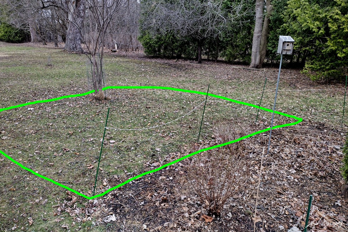 JB's Native Garden🦋 tweet media