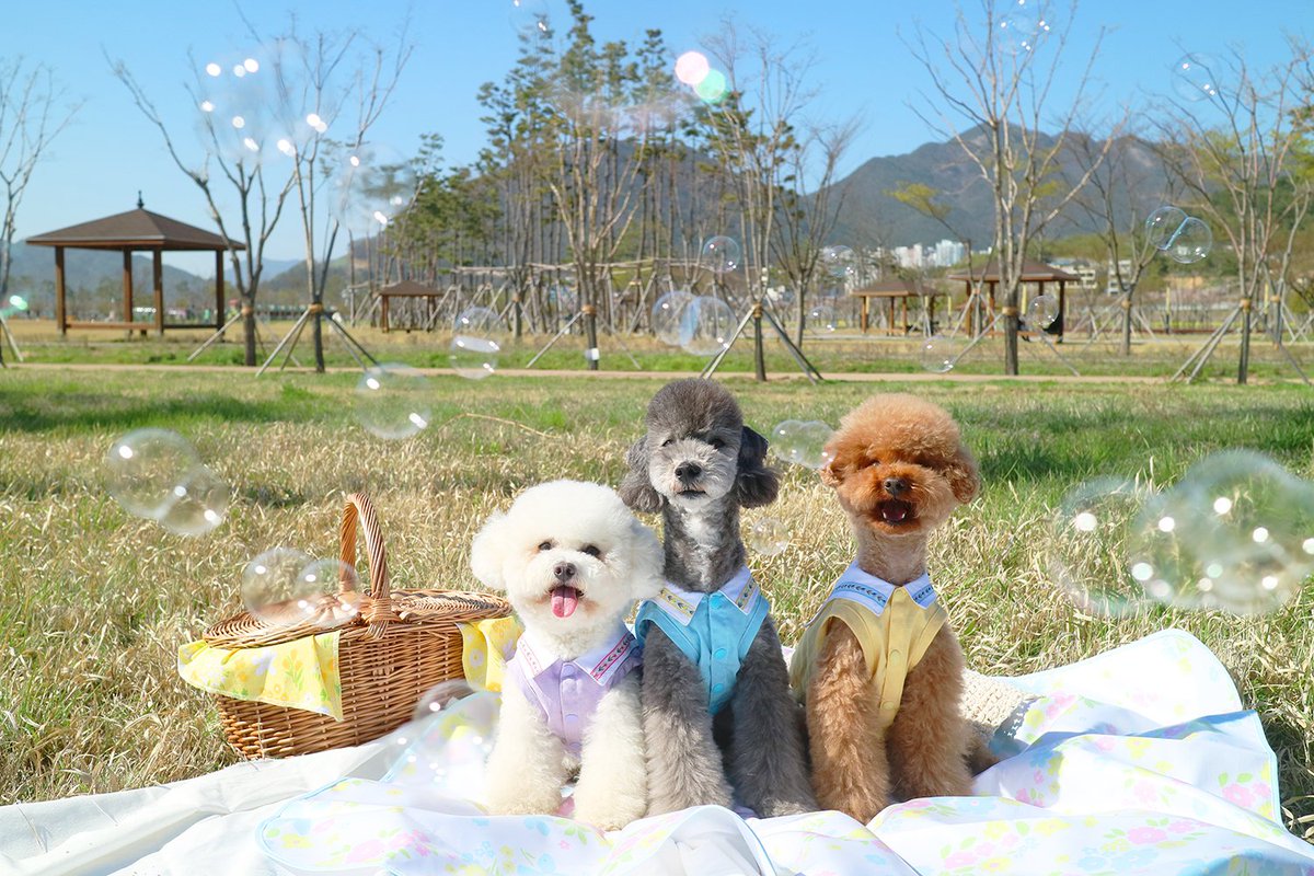 제이빈💕(J_BIN) tweet media