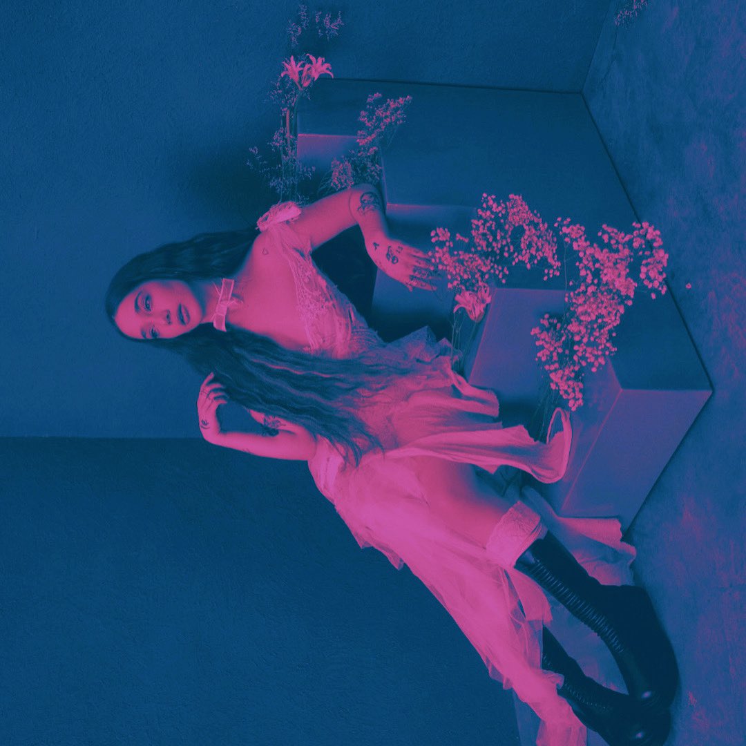 𝐌agnolia 𖤐ั tweet media