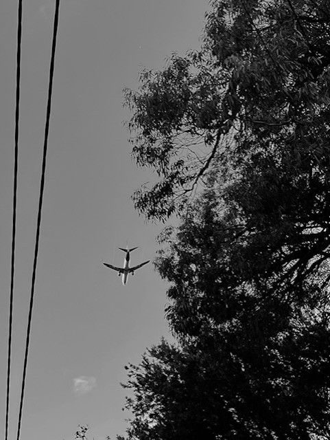 LydiaCLee tweet media