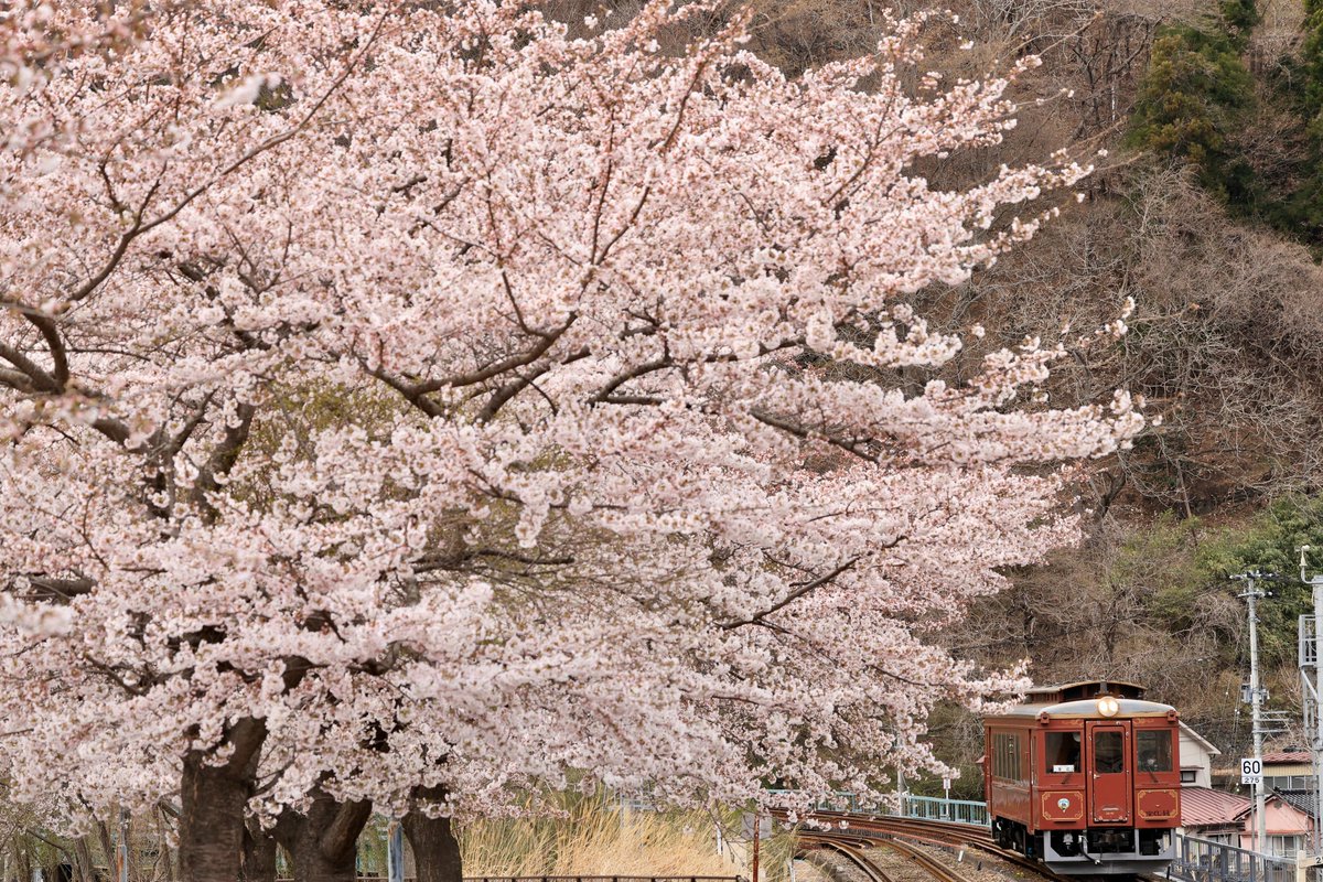 三陸鉄道株式会社【公式】 tweet media