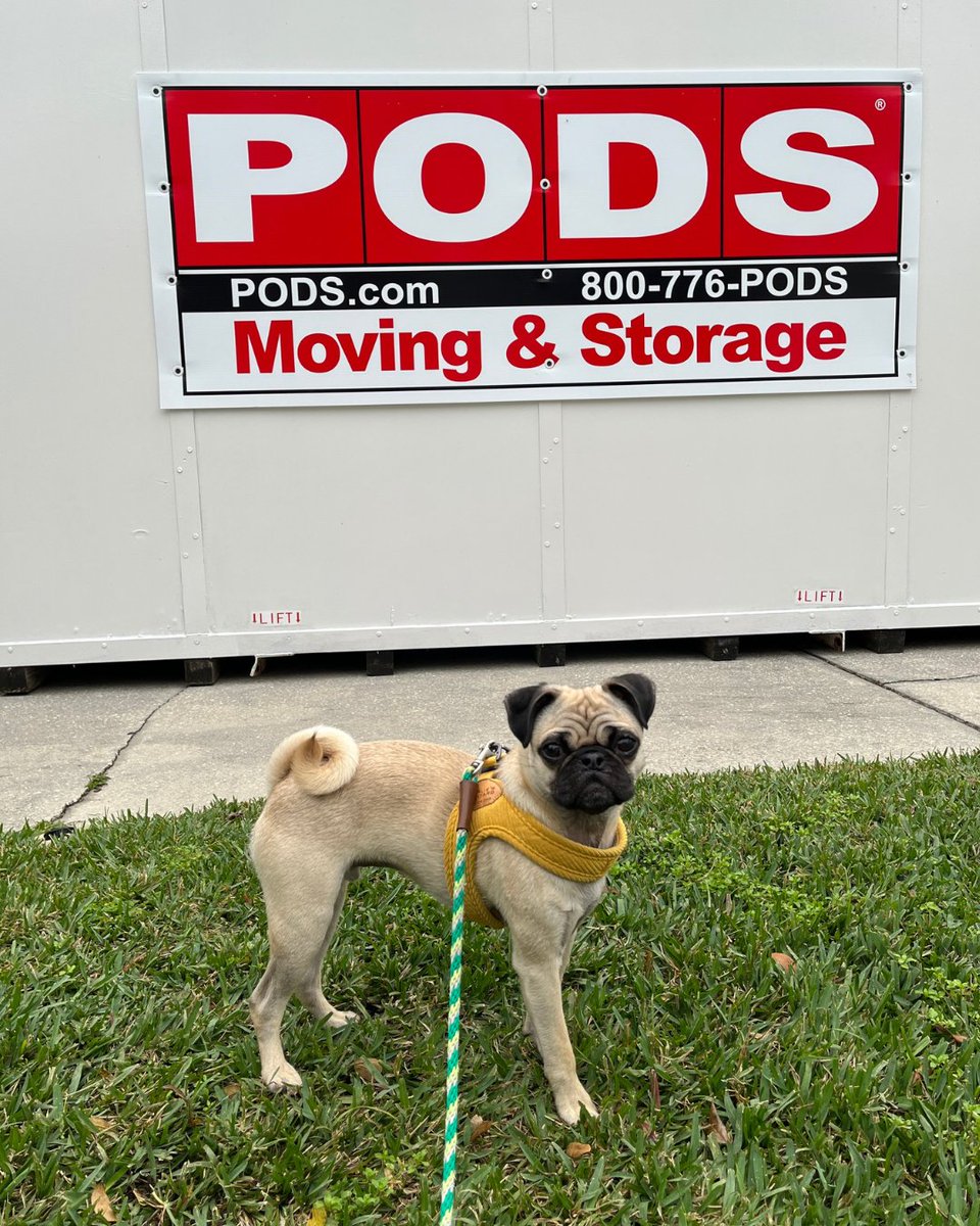PODS Moving & Storage tweet media