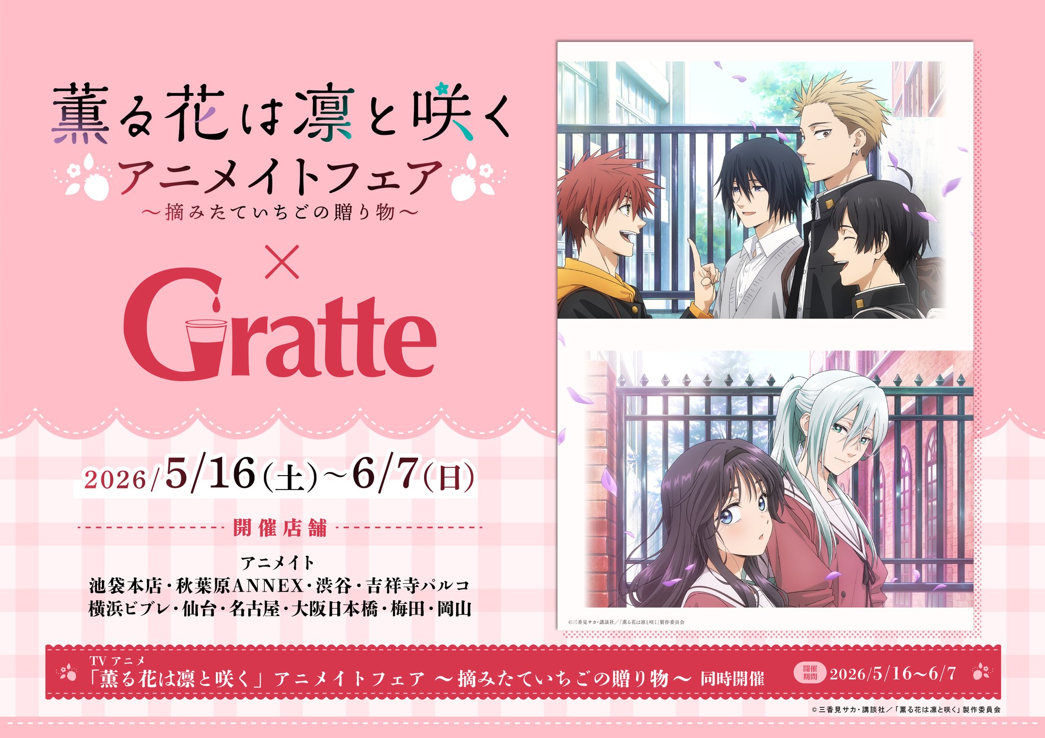 薫る花は凛と咲く　アニメイトカフェグラッテアクリルコースター アニメイトグラッテ on X: 