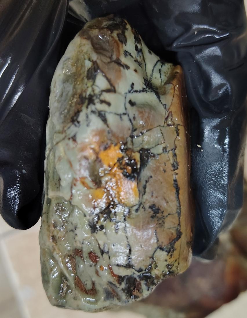 Blue Canaries (Publius) tweet media