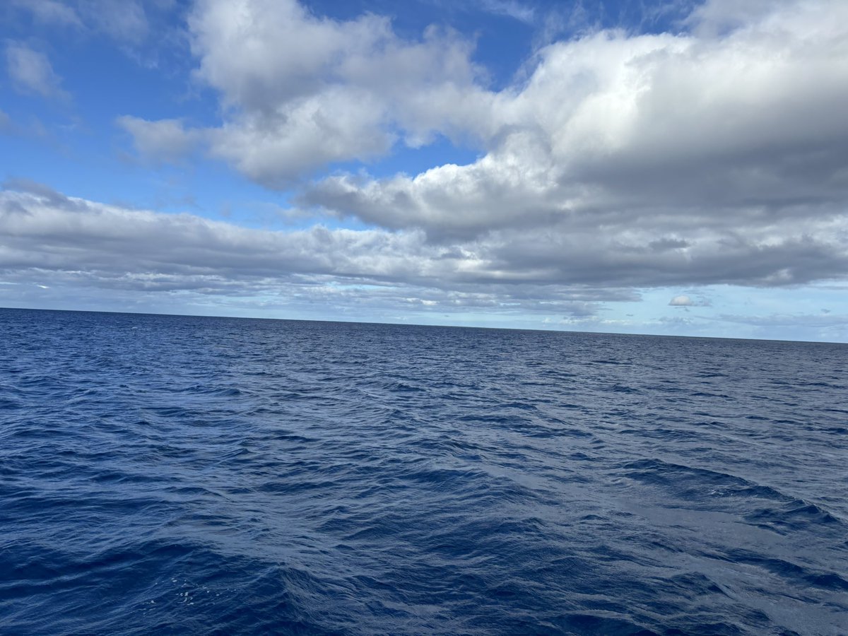 Amy Curtis tweet media