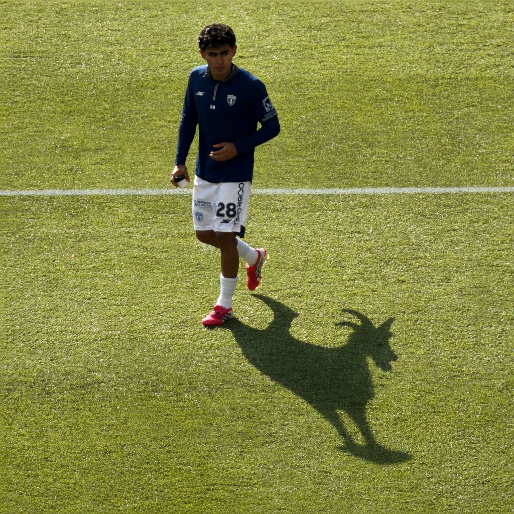 𝐓𝐮𝐳𝐨𝐬 𝐈𝐧𝐟 🐹 tweet media