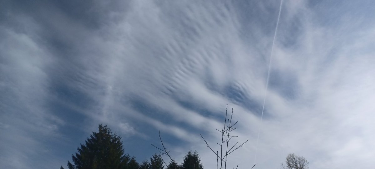 Tara Lynn 4444 tweet media