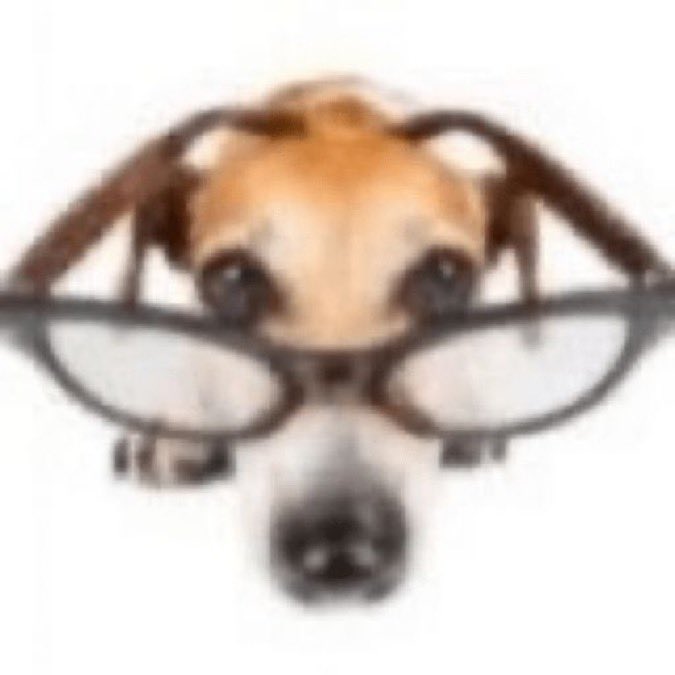 felipe☎️ tweet media