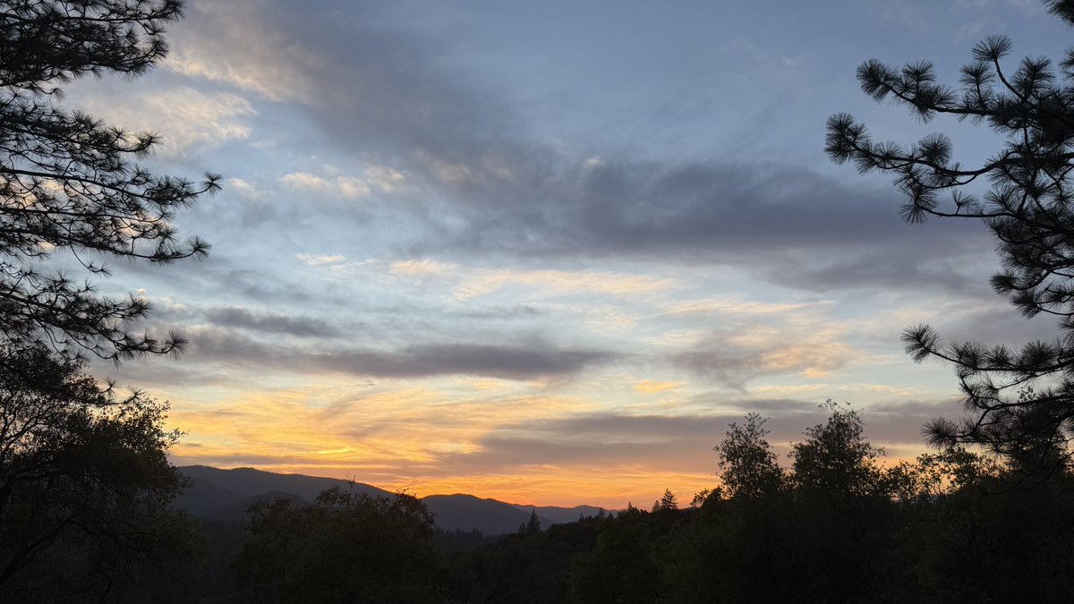 Beth Pratt tweet media