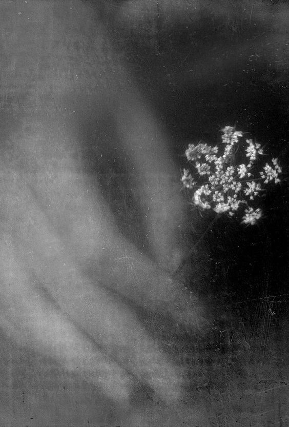 Drifter (@searcher9090) on Twitter photo 