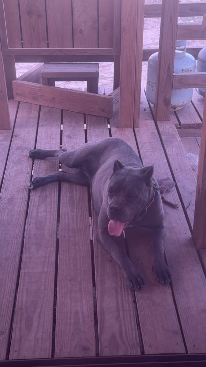 DA SPI X tweet media