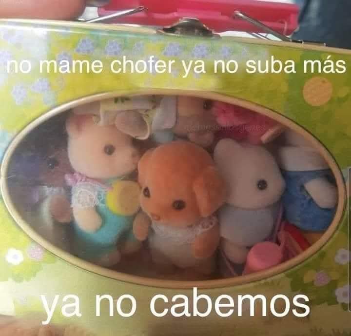 Animalitos en aprietos. tweet media