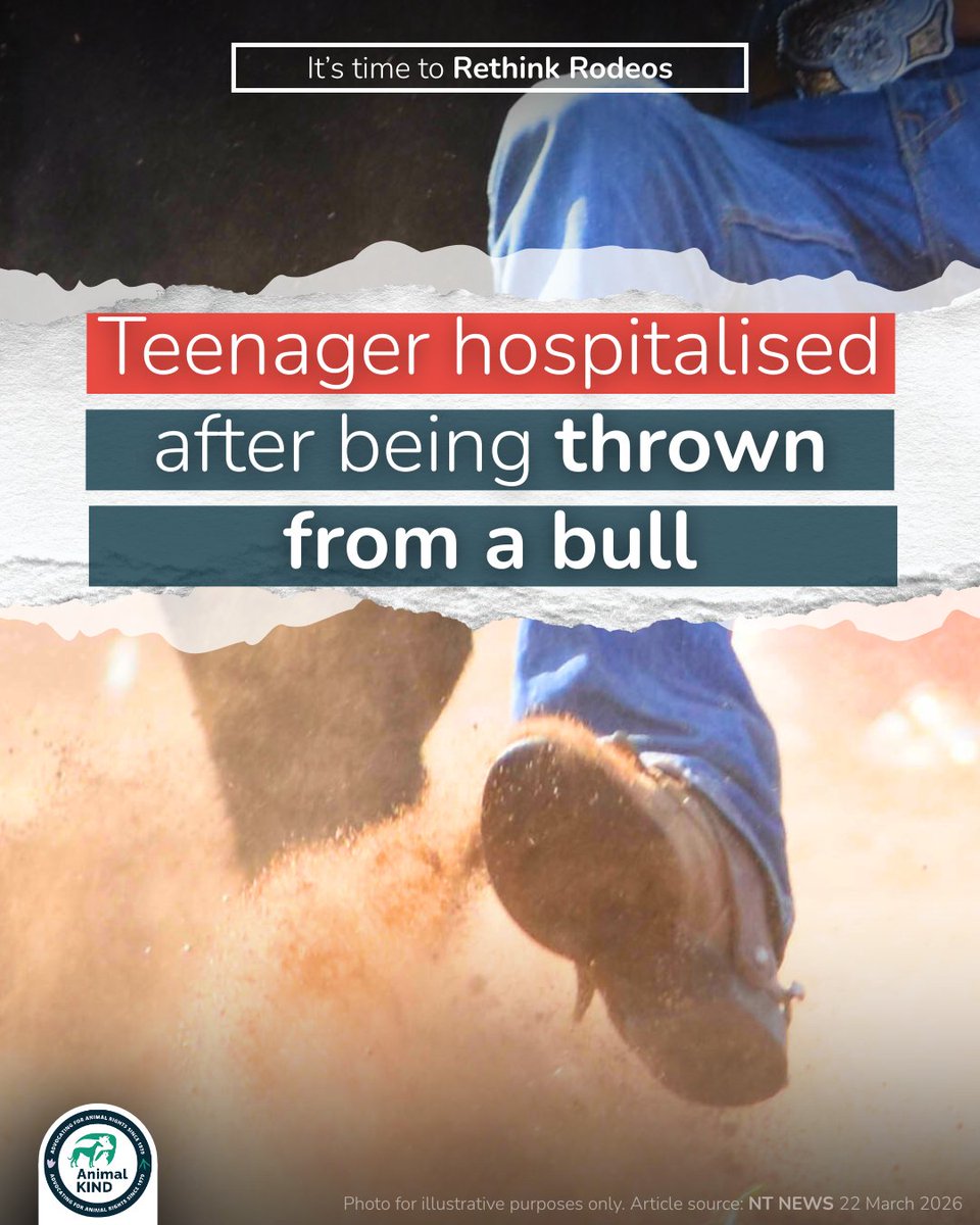 AnimalKIND tweet media