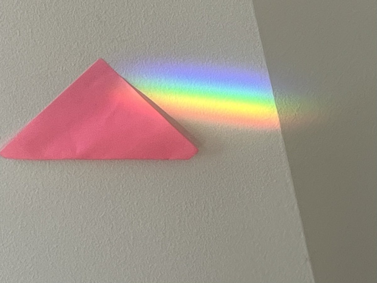 LydiaCLee tweet media