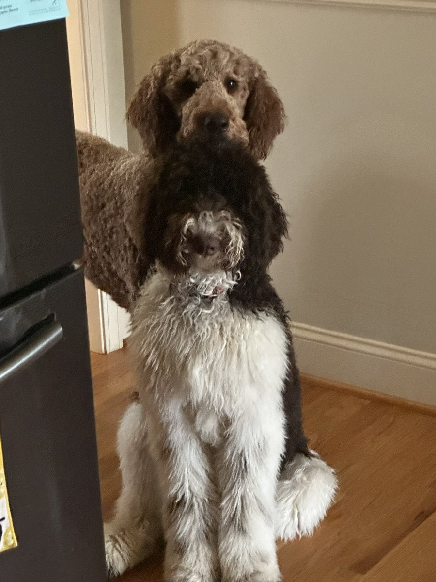 Amanda Hollensbe (Braelyn’s Mom) tweet media