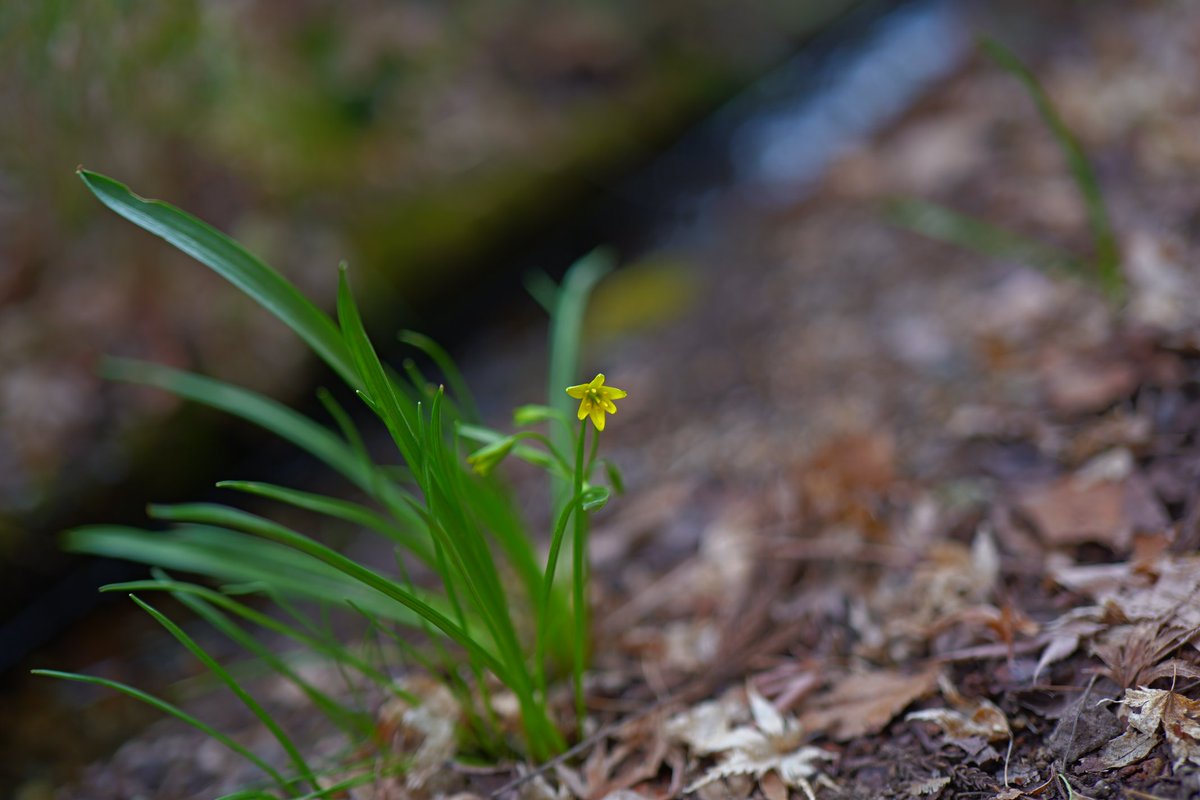熊谷太郎(La Jomon) tweet media
