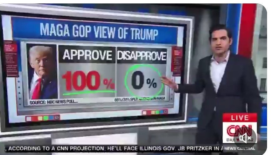 Cindy Cindy tweet media