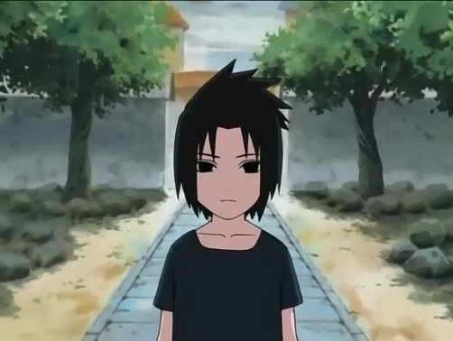 🐈⬛🍅 tweet media