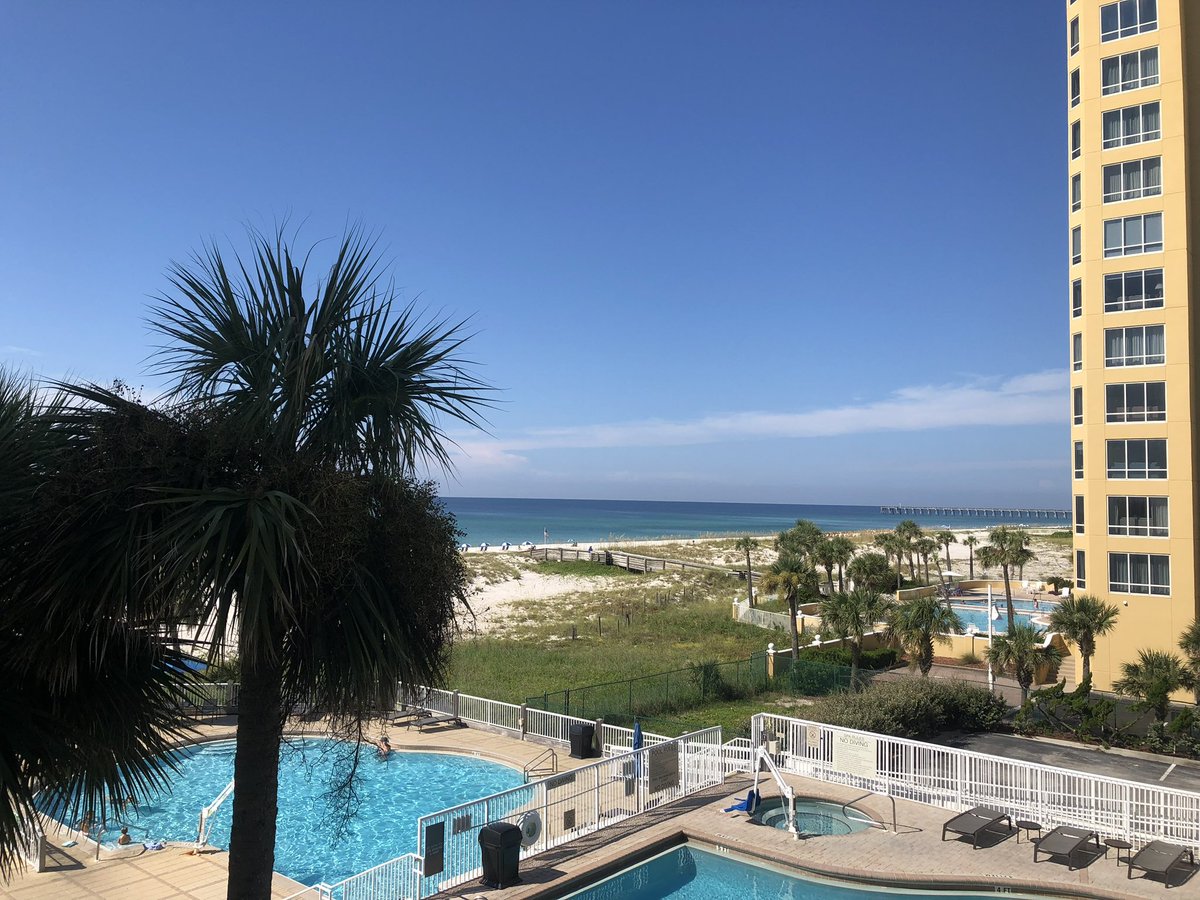 Dr. TopNotchBiscuits, MD Skippy Bimbo 1️⃣6️⃣ tweet media