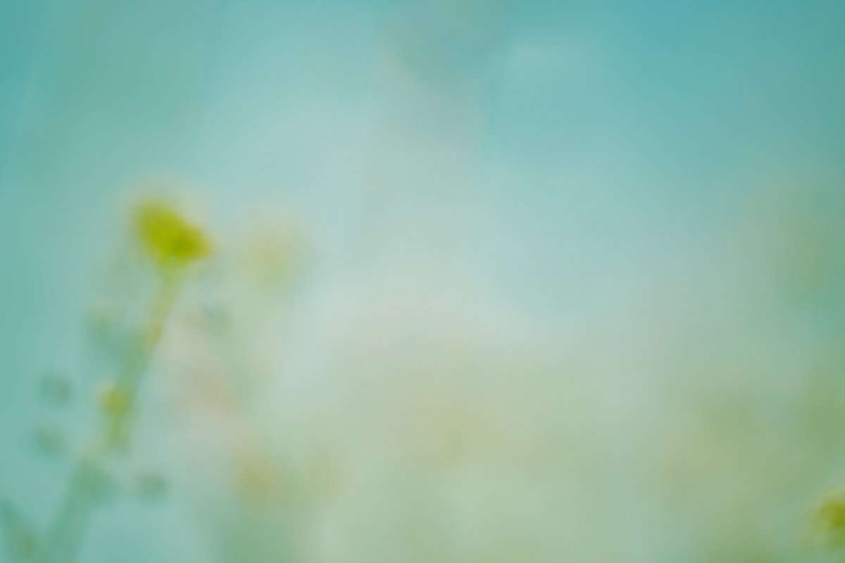 Sinchan_photography tweet media