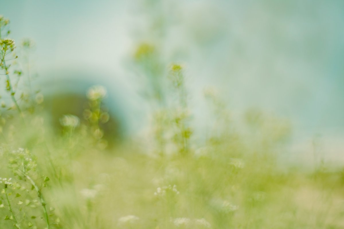 Sinchan_photography tweet media