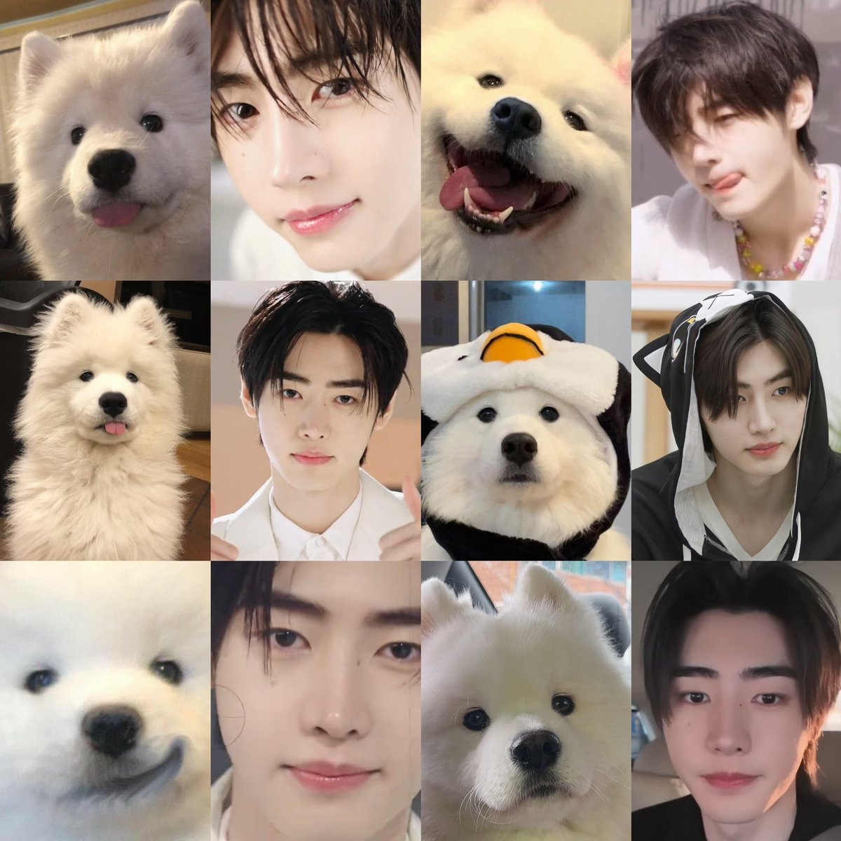 𝗶𝗺𝘄𝗶𝗻🐾 tweet media