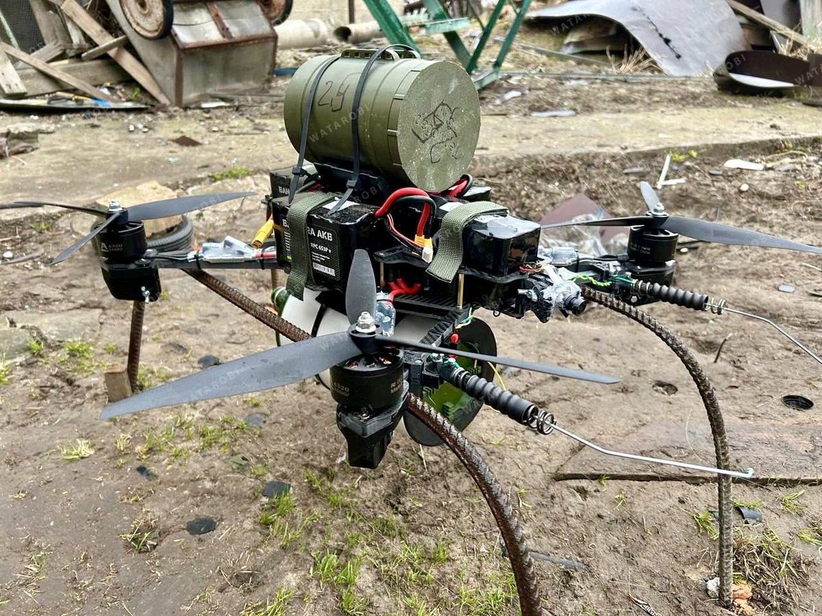 Roy🇨🇦 tweet media