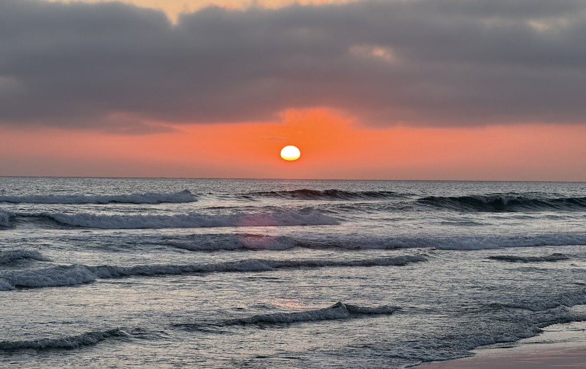 Miss Steak tweet media