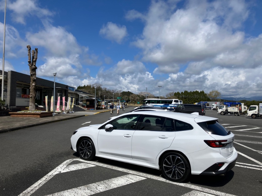 shadow2020 tweet media