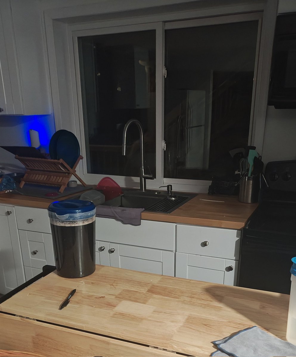 chayahalfdragon.bsky.social (NO BOTS ALLOWED) tweet media