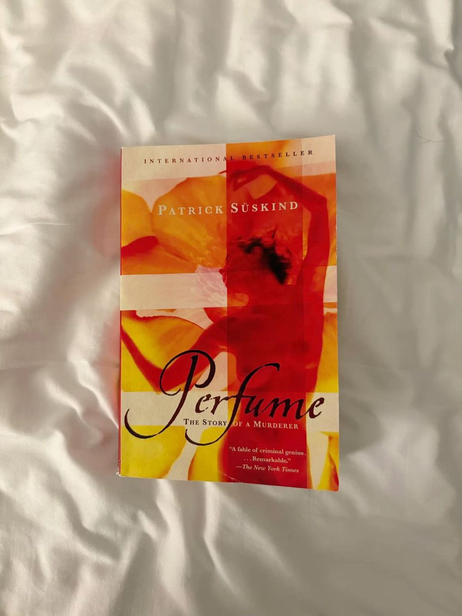 Maite 。 tweet media