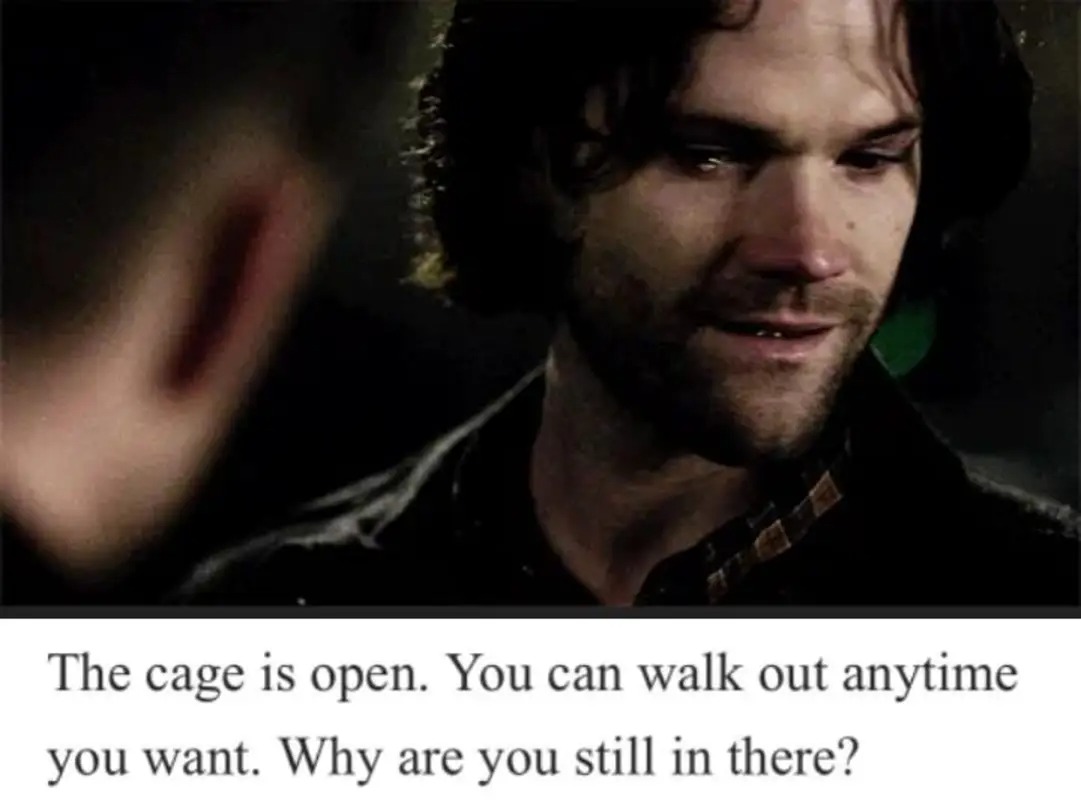 samsvibrator tweet media