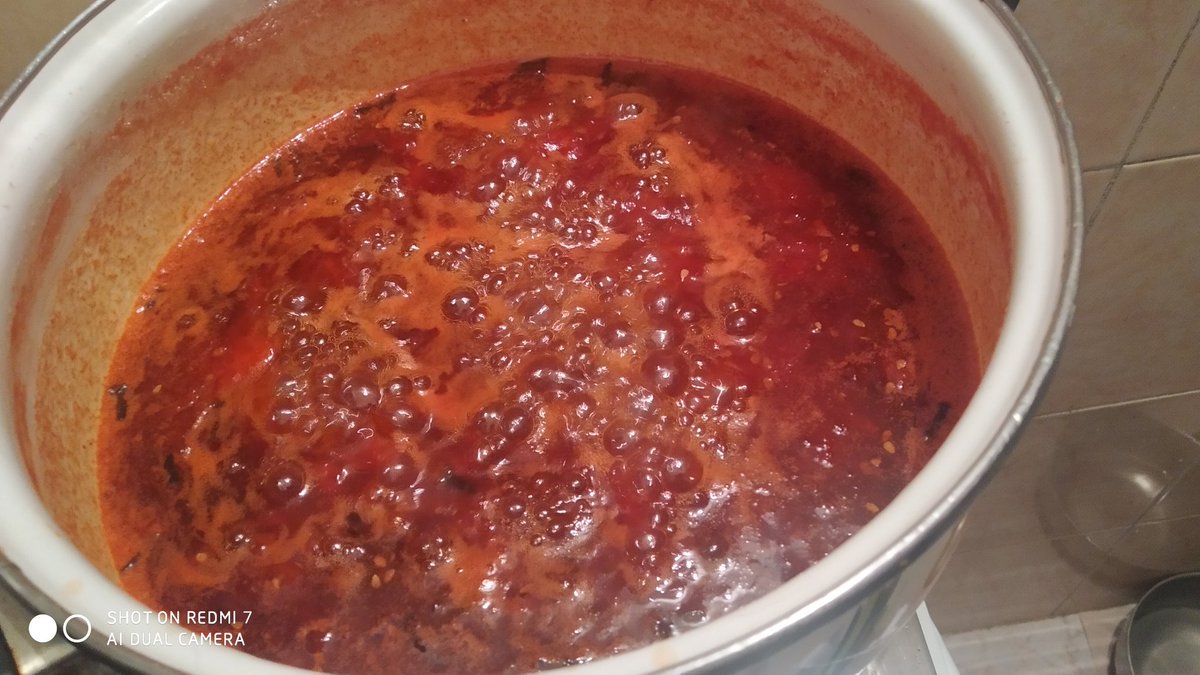 @Carlotta🐾💕 tweet media