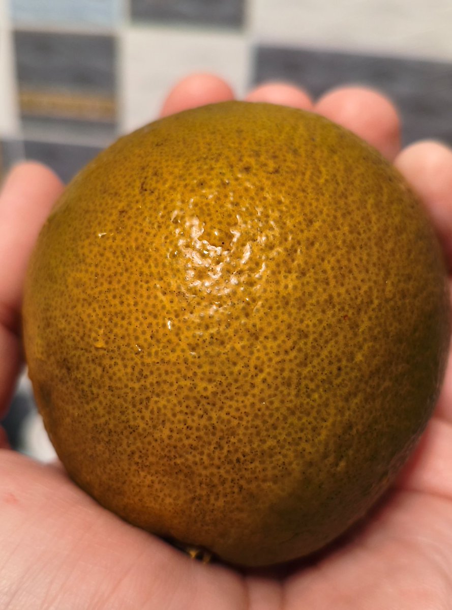 Psycho Killer tweet media