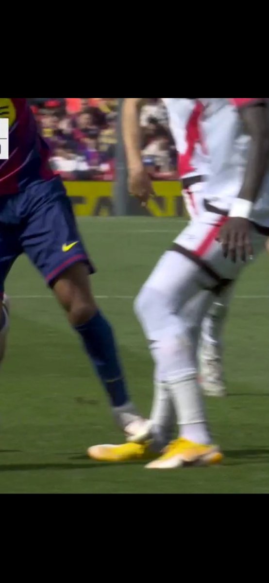 Antibarca tweet media