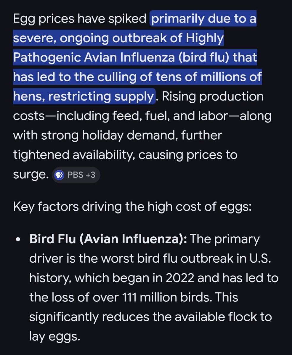 nuns with guns tweet media