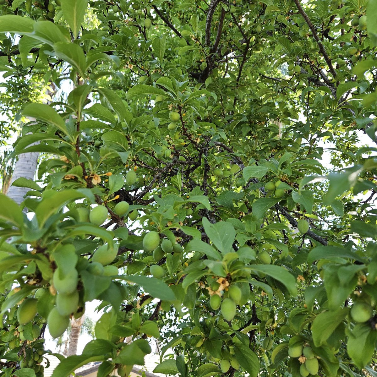 MoneyStockFlow tweet media