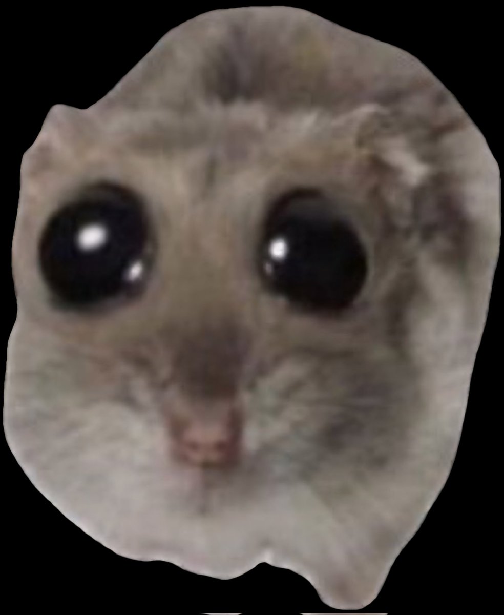 Butz Lachmann 🇮🇱 tweet media