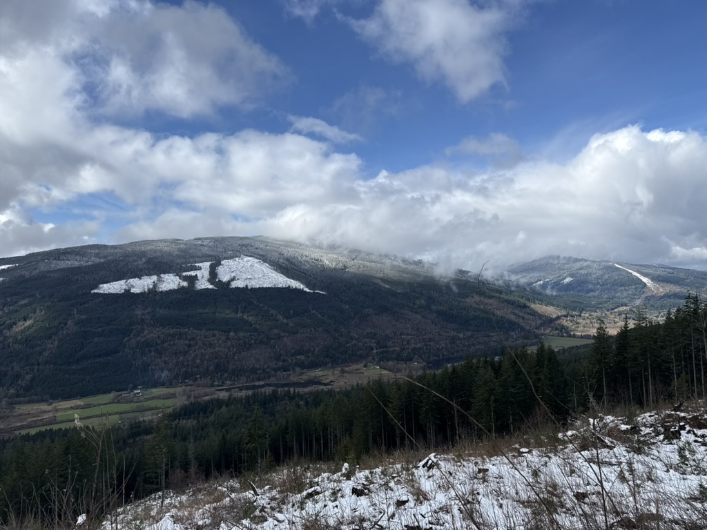 UltraPrincess tweet media