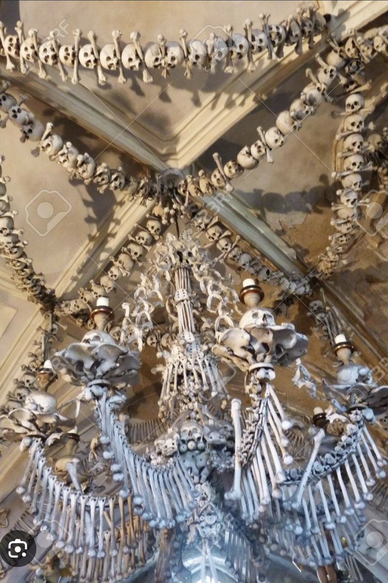 Vera 🌿 tweet media