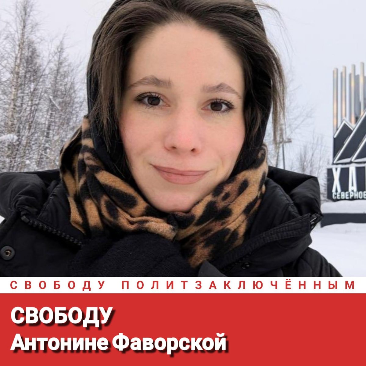 Alexey Tikhiy tweet media