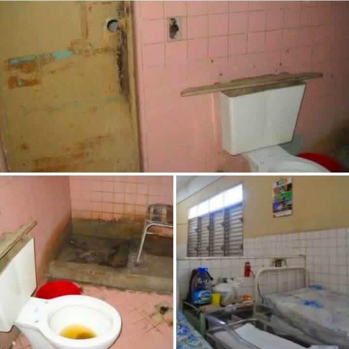 Coders4freedom tweet media