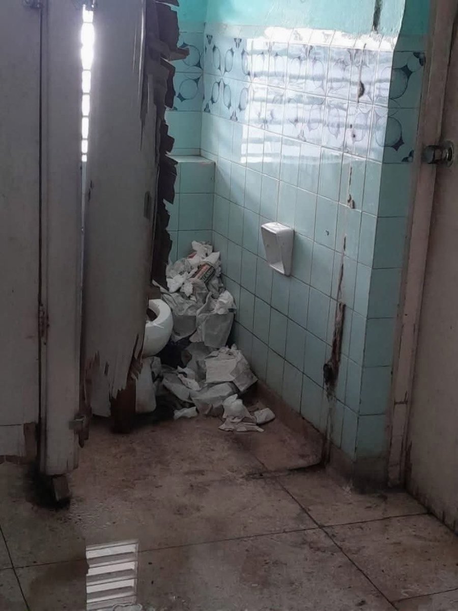 Coders4freedom tweet media