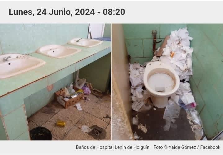 Coders4freedom tweet media