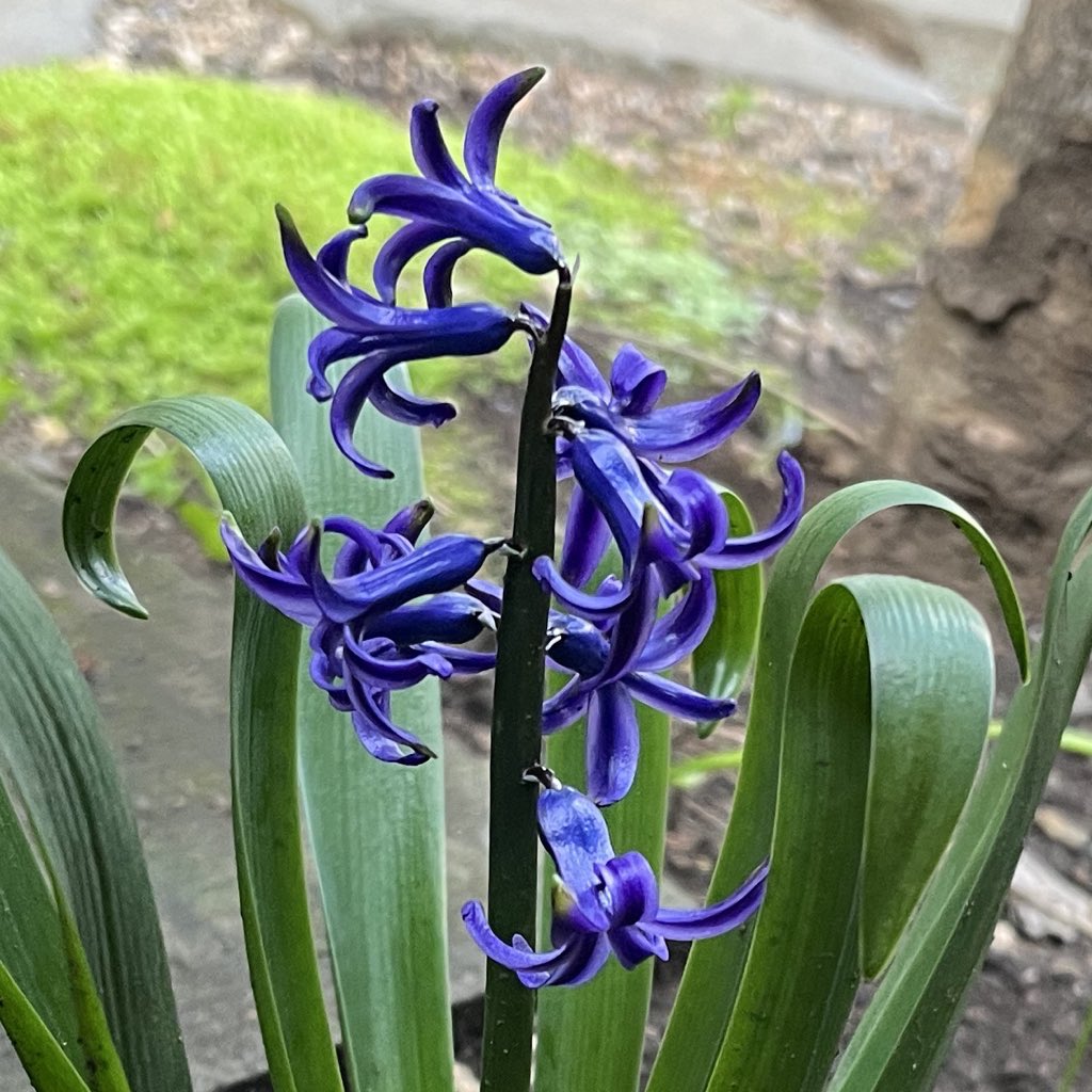 冥夢 meimu tweet media